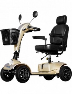 Orion Pro Scooter