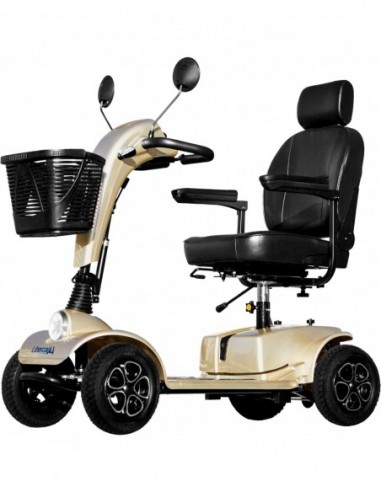 Orion Pro Scooter